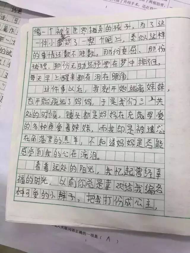 journal_insert_pic_714420648