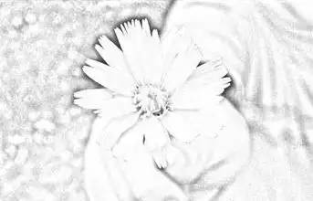 journal_insert_pic_970122084
