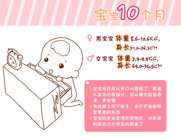 journal_insert_pic_960764781