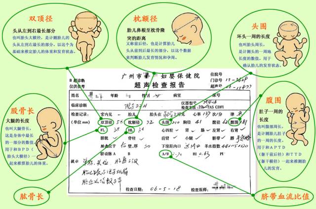 journal_insert_pic_893605629