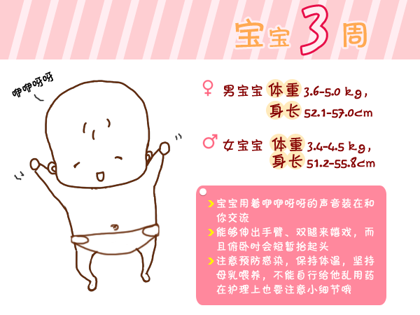 journal_insert_pic_960764768