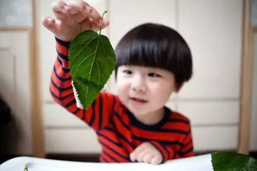 journal_insert_pic_965659074