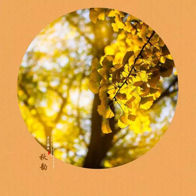 journal_insert_pic_972930698